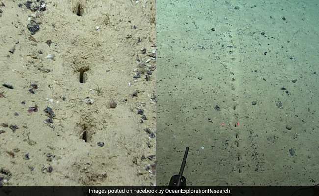 אטריות נמצאו על המאדים, בן 27 ונראה ילד • חדשות מהעולם
