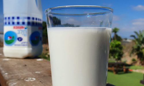 מוצרי חלב. אילוסטרציה