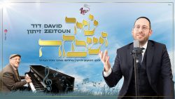 דוד זייתון שיר ושבחה - גרפיקה
