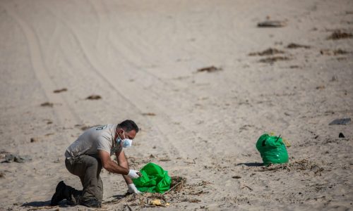 אזרחים מנקים את חופי הים מזיהום הזפת. אילוסטרציה // צילום: פלאש 90